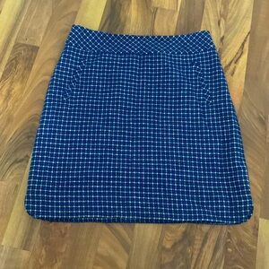 Talbots 4 Size Blue Checkered Skirt